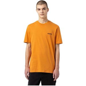 Dickies Artondale Box T-shirt Met Korte Mouwen Geel S Man