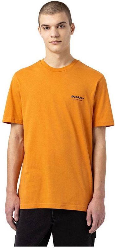 Dickies Artondale Box T-shirt Met Korte Mouwen Geel S Man