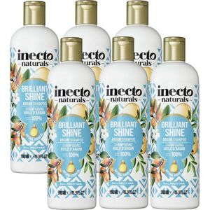 Inecto - Argan Shampoo - 6 pak - Voedend - Hydraterend - Natuurlijk