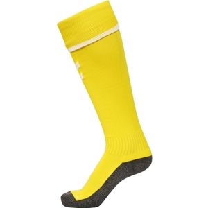 hummel Hmlcore Football Socks voor kinderen, uniseks
