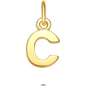 Twice As Nice Hanger in 18kt verguld zilver, letter C