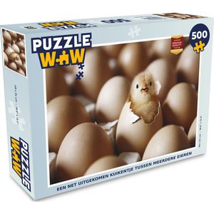 Puzzel Een net uitgekomen kuikentje tussen meerdere eieren - Legpuzzel - Puzzel 500 stukjes