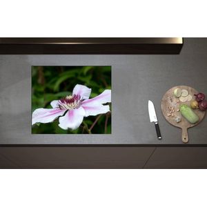 Inductieplaat Beschermer - Clematis Flordie Bloemen in het Wit met Paarse Details - 58x50 cm - 2 mm Dik - Inductie Beschermer - Bescherming Inductiekookplaat - Kookplaat Beschermer van Zwart Vinyl