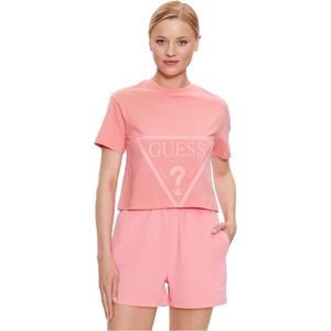 Classic logo triangle