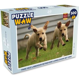 Puzzel Twee gele Labrador Retrievers lopen door het gras - Legpuzzel - Puzzel 500 stukjes