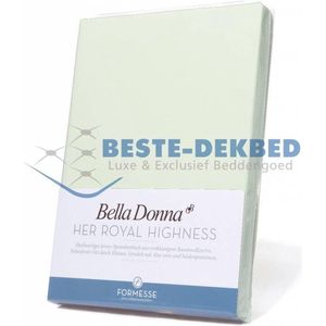 Bella Donna Lits-jumeaux XL Hoeslaken Jersey - pastelgroen-0629 200/220-220/240