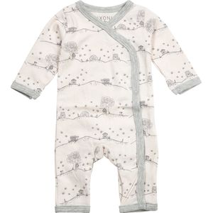 Fixoni - Prematuur boxpakje Little Bee - roze maat 32