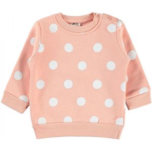 Baby/peuter sweater meisjes - Babykleding