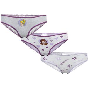 Disney Prinsessen – Slipjes