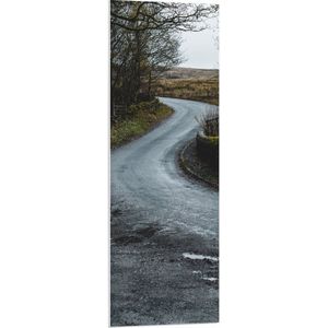 WallClassics - PVC Schuimplaat- Weg in het Bos - 40x120 cm Foto op PVC Schuimplaat