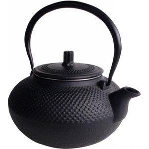 15L Asia Japan Style Theepot gietijzer zwart theezeef iron teapot