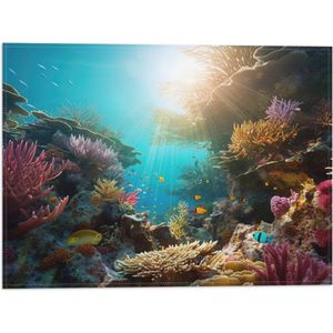 Vlag - Onderwater - Oceaan - Zee - Koraal - Vissen - Kleuren - Zon - 40x30 cm Foto op Polyester Vlag