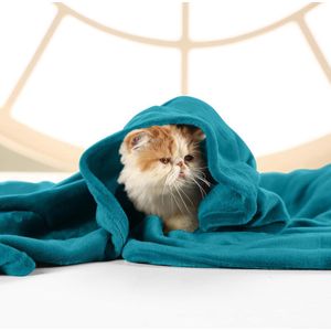 Inovra ® Beddengoed Knuffelige Fleece Deken, Zachte, Lichtgewicht, Warme Fluffy Deken, Knuffelige en Ademende Dekens voor Bed, Bank, Bank (150 x 200 cm), Turquoise