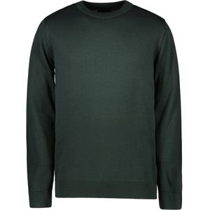 Cars Jeans REYO SW Heren Trui - Bottle - Maat S