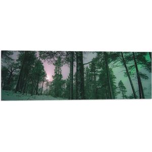 WallClassics - Vlag - Het Noorderlicht door Bomen heen in Noorwegen - 90x30 cm Foto op Polyester Vlag