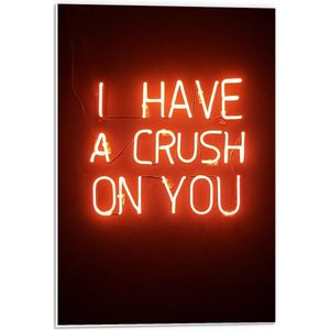 Forex - Rode Neonletters: ''I Have A Crush On You'' - 40x60cm Foto op Forex