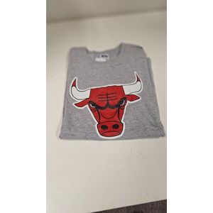 CHICAGO BULLS - T-SHIRT- GREY- L