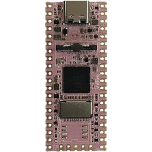 Ontwikkelingsboard met 256 MB RAM geheugen en ondersteuning voor Linux, geschikt voor RISC-V Milk-V architectuur.