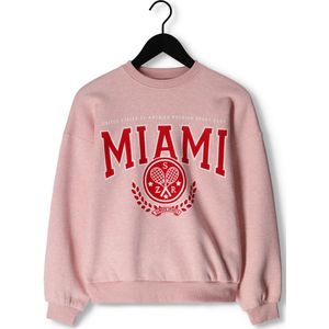 HOUNd Oversized Crewneck Truien & Vesten Meisjes - Sweater - Hoodie - Vest- Lichtroze - Maat 128