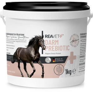 ReaVET - Darm Prebiotica voor Paarden - Ondersteuning van maag,- en darmfunctie - Graanvrij aanvullend voer - 1000g