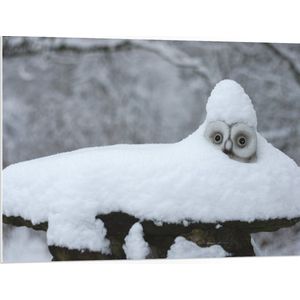 PVC Schuimplaat - Laagje Sneeuw op Zadel van Fiets - 100x75 cm Foto op PVC Schuimplaat (Met Ophangsysteem)