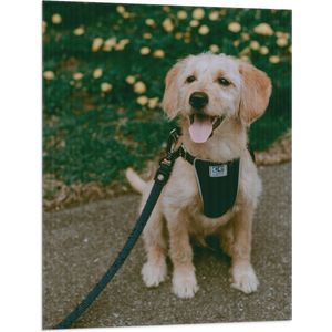 WallClassics - Vlag - Zittende Hond met Tong en Tuigje met Halsband - 75x100 cm Foto op Polyester Vlag