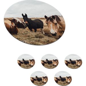 Onderzetters voor glazen - Rond - Dieren - Paard - Paarden - 10x10 cm - Glasonderzetters - 6 stuks