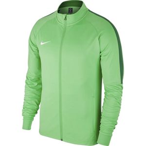 Nike Academy 18 Sportvest - Maat S - Mannen - groen