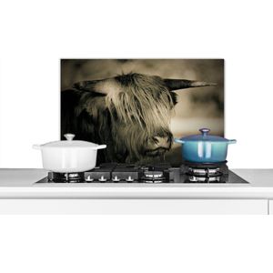 Spatscherm keuken 70x50 cm - Kookplaat achterwand Schotse Hooglander - Dieren - Haar - Muurbeschermer - Spatwand fornuis - Hoogwaardig aluminium