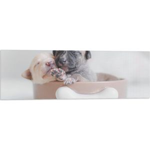 Vlag - Twee Puppy's Slapend in Bruine Voerbak met Bot - 90x30 cm Foto op Polyester Vlag