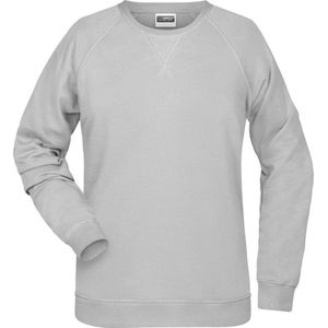 James and Nicholson Dames/dames Raglan Sweatshirt met lange mouwen (As)
