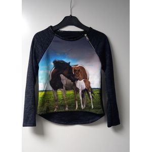 Trui paarden - rits - sweater - 6 jaar