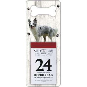 Scheurkalender 2024 Hond: Bordercollie