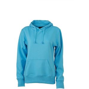 James and Nicholson Dames/dames Hooded Sweatshirt (Hemelsblauw)