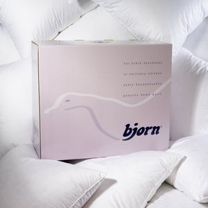 Bjorn Borgland Light - Dekbed - Natuurlijke ganzendons - Eenpersoons - 140x220