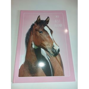 Paarden map, Paarden multomap, Ringmap met paard, ringband 24 rings