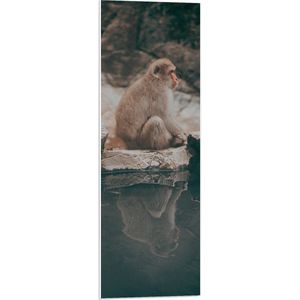 WallClassics - PVC Schuimplaat- Aapje op een Steen aan het Water - 30x90 cm Foto op PVC Schuimplaat
