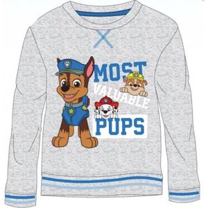 Paw Patrol sweater - grijs - Maat 128 / 8 jaar