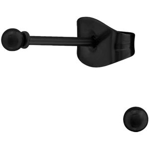 Aramat Jewels - Zwarte bolletjes oorstekers - Zwart staal - 2mm - Eenvoudig, stijlvol en tijdloos - Geschikt voor dagelijks gebruik - Roestvrij staal - Ideaal als cadeau - Feestdagen