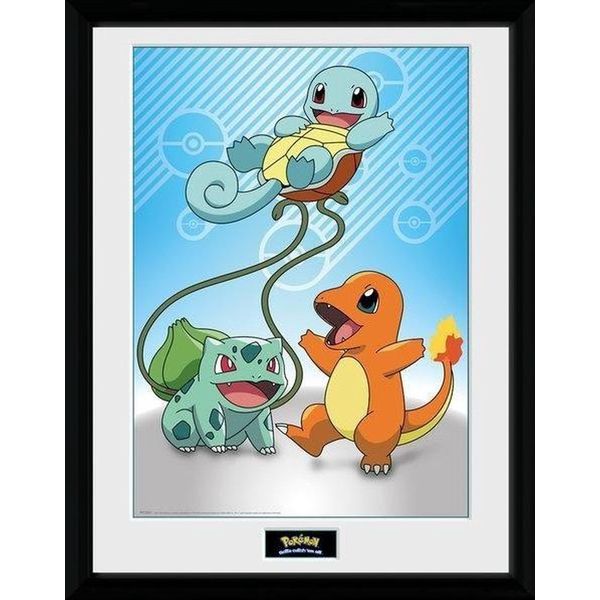 Grupo Erik Pokemon Eevee Evolutions Gotta Catch 'Em All! Poster