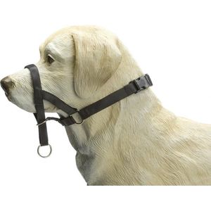 Beeztees Dog Control - Halsband Hond - Zwart - XS