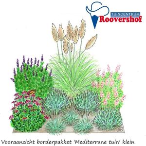 Borderpakket 'Mediterrane tuin' klein - pampasgras, salie, lavendel en meer - 20 planten - 3 à 4 m²