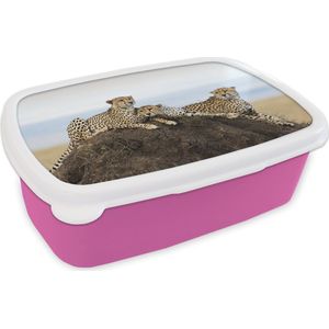 Broodtrommel Roze - Lunchbox - Brooddoos - Drie cheetas op een uitkijk heuvel - 18x12x6 cm - Kinderen - Meisje