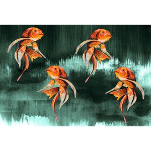 Behang staal Koi Fish Art emerald
