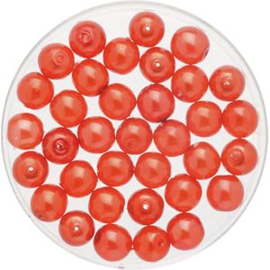 250x stuks sieraden maken Boheemse glaskralen in het transparant rood van 6 mm - Kunststof reigkralen voor armbandjes/kettingen