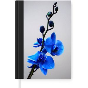 Notitieboek - Schrijfboek - Blauwe Orchidee - Notitieboekje klein - A5 formaat - Schrijfblok