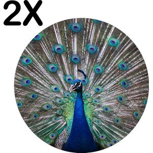 BWK Flexibele Ronde Placemat - Pauw met Gespreidde Veren - Set van 2 Placemats - 40x40 cm - PVC Doek - Afneembaar