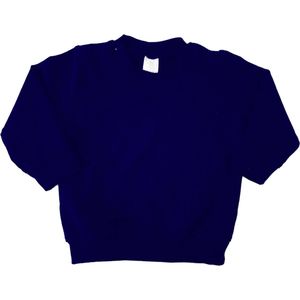 Sweater Donkerblauw Blanco - Navy Sweater - Baby Trui - Baby Sweater - Baby Hoodie - Baby Hoody - Sweater - Kinder Sweater - Blanco - Hoge Kwaliteit - Basic Sweater - Basic Trui - Effen Trui - Maat 104/110
