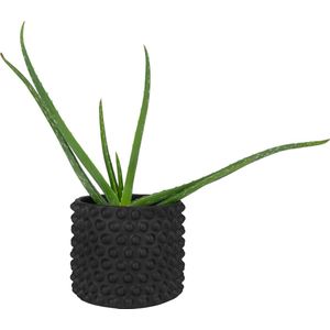 QUVIO Bloempot met bolletjes - Voor binnen en buiten - Plantenpot - Plantenhouder - Plantenbak - Tuinieren - Balkonbak - Plantenaccessoires - Beton - Rond - Diameter 15 cm - Zwart