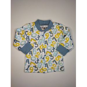 Nini - Vestje Floris - Shirtje met drukknopen - Maat 56 - 0 t/m 2 maanden